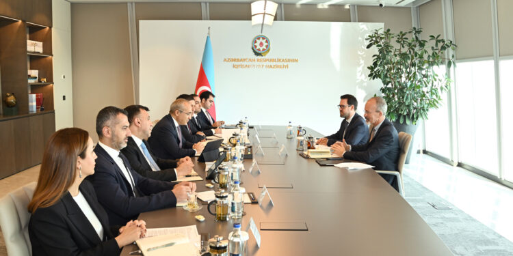 OECD ilə əməkdaşlıq perspektivləri müzakirə edilib