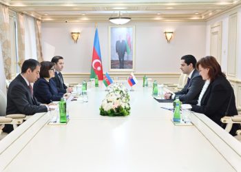 Sahibə Qafarova səfirlə görüşdü