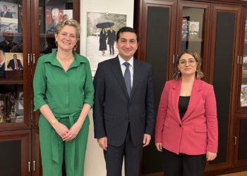 Səfir Hikmət Hacıyev ilə görüşüb