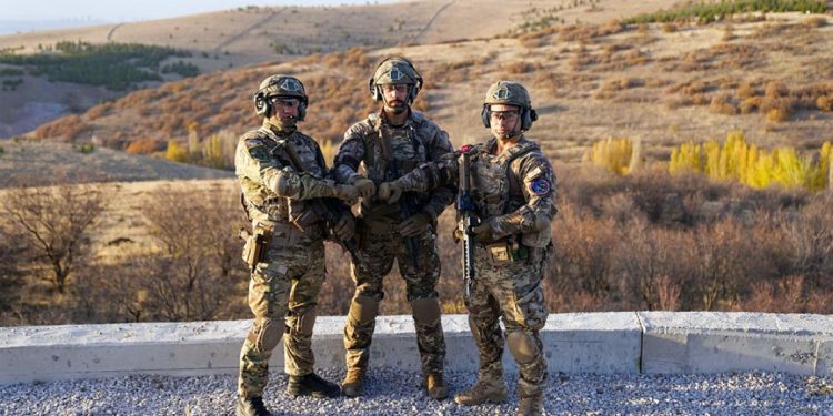 “Qafqaz Qartalı – 2025” Türkiyədə