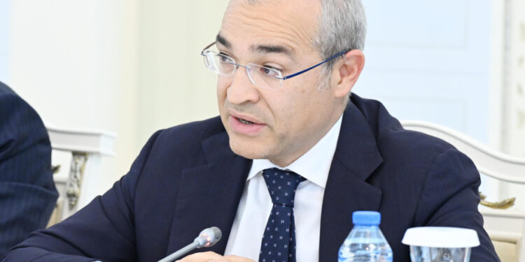 Mikayıl Cabbarov: Ölkədə iqtisadiyyatın şaxələndirilməsinə yönəlmiş fəaliyyət davam edir