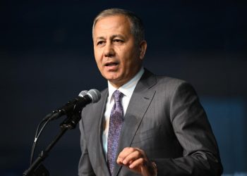 Türkiyənin və Gürcüstanın daxili işlər nazirləri təyyarə qəzasını müzakirə ediblər