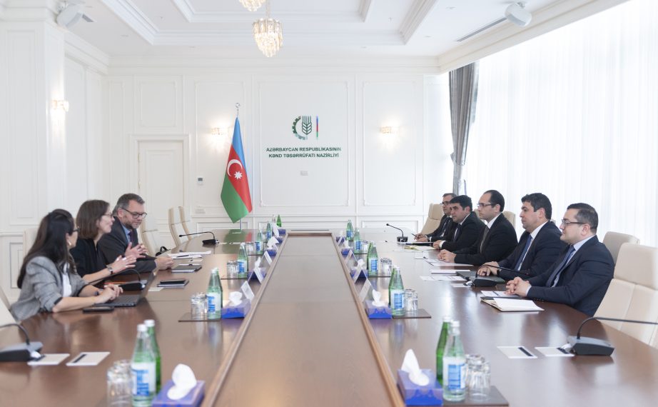 Dünya Bankı ilə kənd təsərrüfatı sahəsində əməkdaşlıq müzakirə olunub