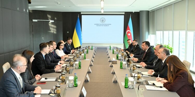 Ukraynanın səhiyyə naziri ilə görüş keçirilib