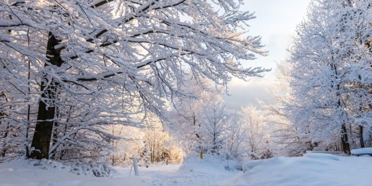 Azərbaycana qış nə vaxt gələcək?