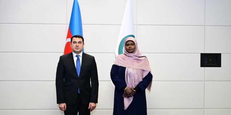 Adil Kərimli liviyalı həmkarı ilə görüşüb