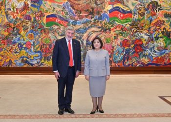 Sahibə Qafarova Lord Olderdaysla görüşüb