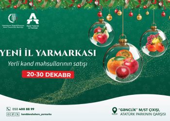 “Kənddən Şəhərə” Yeni il yarmarkası başlayır