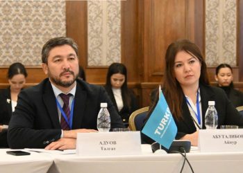 TÜRKPA və MDB PA yeni əməkdaşlıq imkanlarını müzakirə ediblər