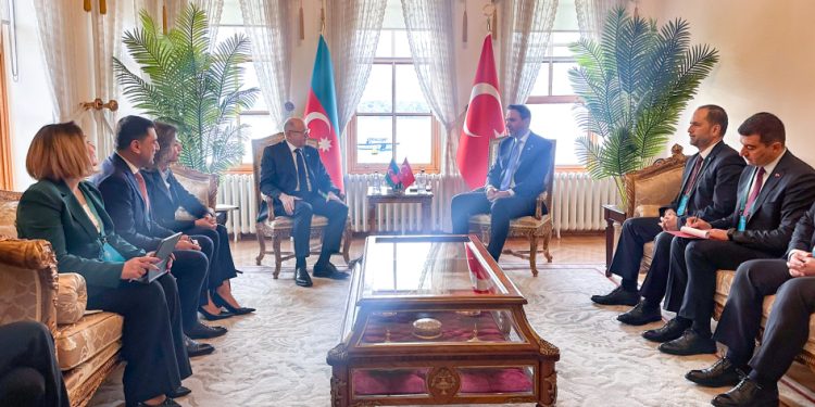 Azərbaycan-Türkiyə energetika nazirləri görüşüb