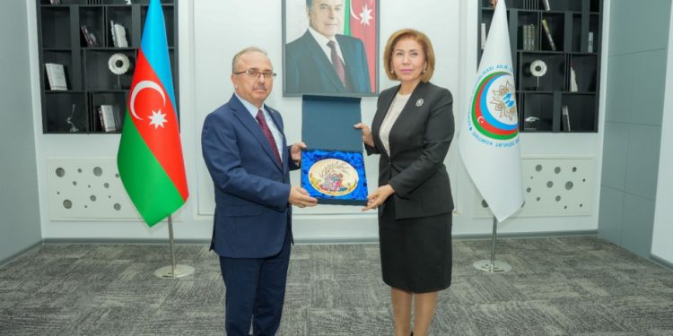 Bahar Muradova səfir ilə görüşüb