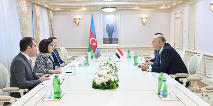 Sahibə Qafarova Misir səfiri ilə görüşüb