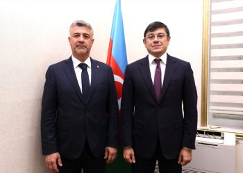 Səfir Diaspor Komitəsində olub