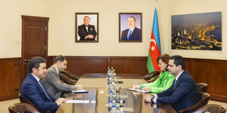 AZAL prezidenti Samir Rzayev səfirlə görüşüb