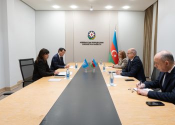 Energetika naziri Vladanka Andreyeva ilə görüşüb