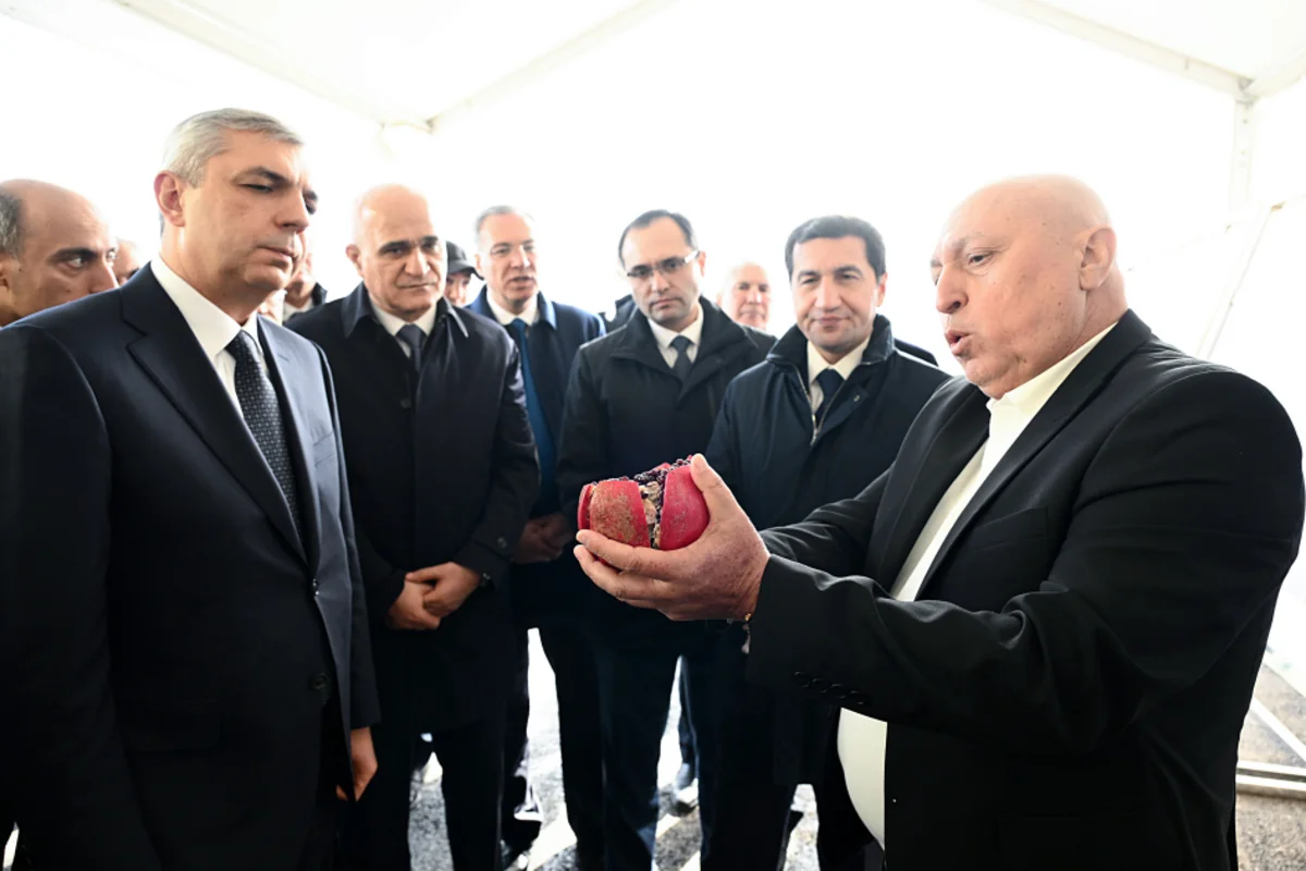 Xocavənd rayonunda bağçılıq təsərrüfatına baxış keçirilib