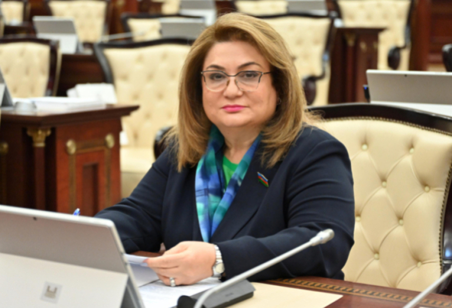 Hicran Hüseynova: Bu sahədə qanunvericiliyin daha da gücləndirilməsinə ehtiyac yaranır